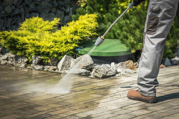 Best Oil Spill Cleanup  in South Beloit, IL